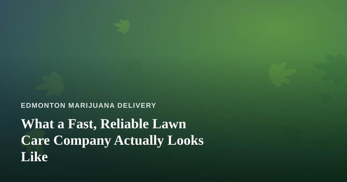 What a Fast, Reliable Lawn Care Company Actually Looks Like